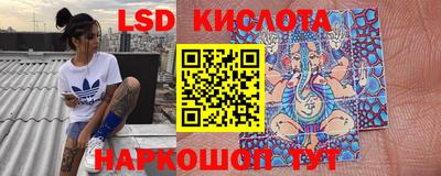 гашик Краснодар
