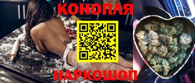гашик Краснодар
