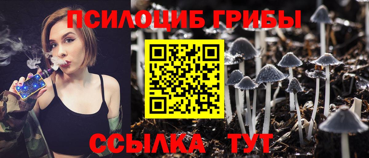Псилоцибиновые грибы Magic Shrooms Калуга